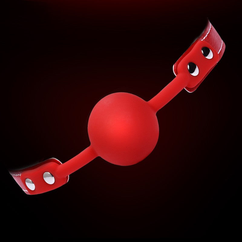 Silken Charm Gag.