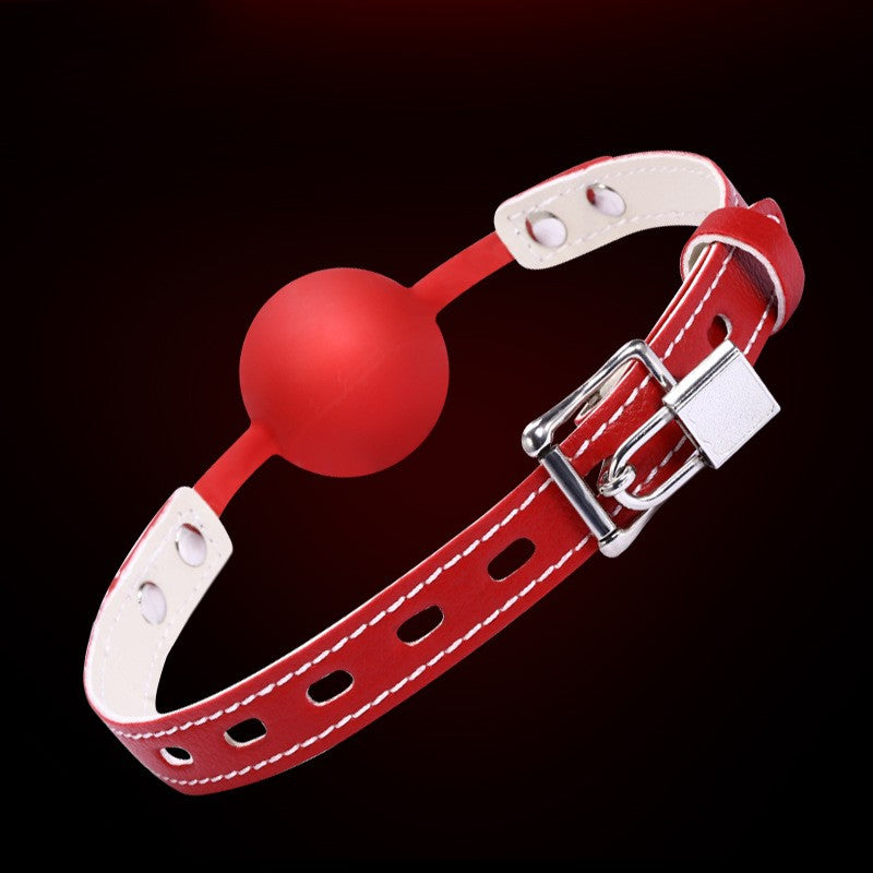 Silken Charm Gag.