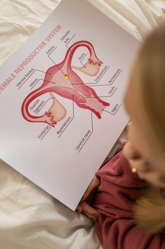 How Laws Block Sex Education