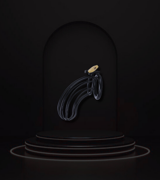 SteelLock Chastity Belt 3.0.
